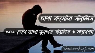 চাপা কষ্টের স্ট্যাটাস