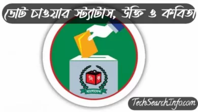 ভোট চাওয়ার স্ট্যাটাস। ভোট নিয়ে উক্তি, স্ট্যাটাস, বাণী ও কবিতা
