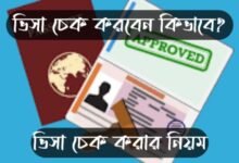 ভিসা