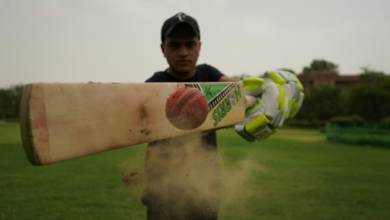 IPL Fan Experience