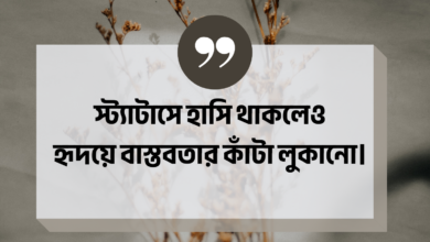 বাস্তবতা নিয়ে কিছু কথা