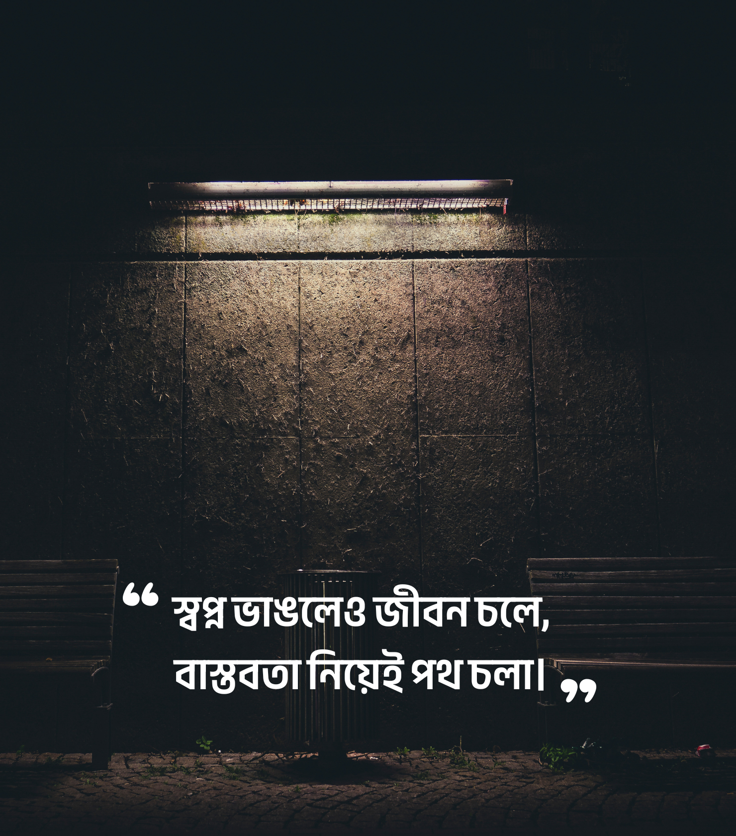 বাস্তবতা নিয়ে স্ট্যাটাস