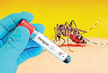 A sudden increase in the number of dengue patients in and outside Dhaka
