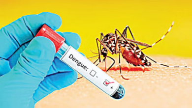 A sudden increase in the number of dengue patients in and outside Dhaka
