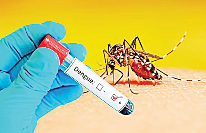 A sudden increase in the number of dengue patients in and outside Dhaka