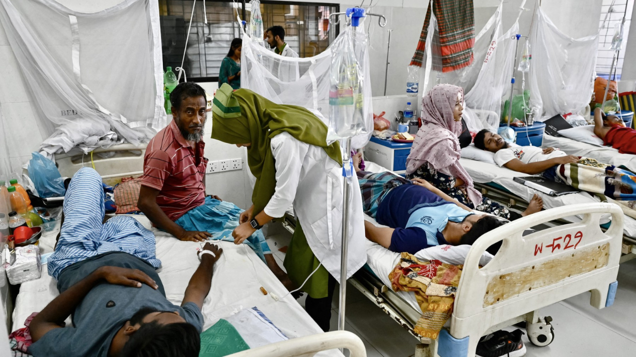 alarming surge in Dengue cases