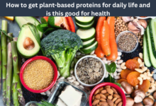 How to get plant-based proteins for daily life and is this good for health
