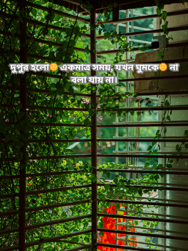 দুপুর হলো🌞 একমাত্র সময়, যখন ঘুমকে🌞 না বলা যায় না।.png