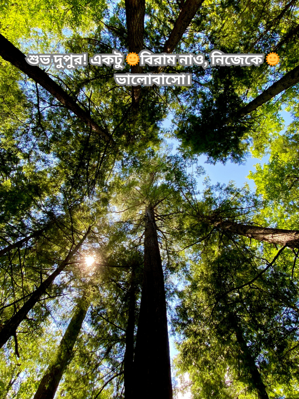 শুভ দুপুর! একটু 🌞বিরাম নাও, নিজেকে 🌞ভালোবাসো।.png