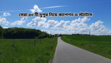 সেরা ৫০ টি দুপুর নিয়ে ক্যাপশন ও স্ট্যাটাস.png