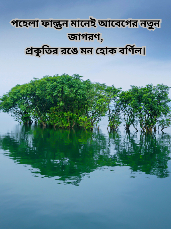 পহেলা ফাল্গুন মানেই আবেগের নতুন জাগরণ, প্রকৃতির রঙে মন হোক বর্ণিল।.png