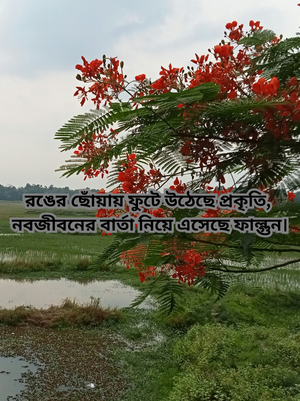 রঙের ছোঁয়ায় ফুটে উঠেছে প্রকৃতি, নবজীবনের বার্তা নিয়ে এসেছে ফাল্গুন।.png