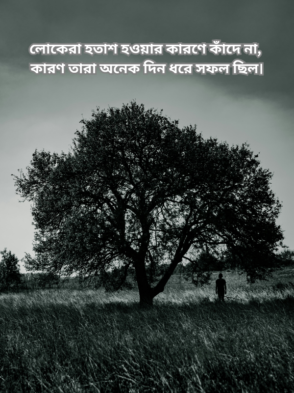 লোকেরা হতাশ হওয়ার কারণে কাঁদে না, কারণ তারা অনেক দিন ধরে সফল ছিল.png