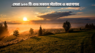 সেরা ১০০ টি শুভ সকাল স্ট্যাটাস ও ক্যাপশন.png