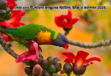 সেরা ৩০০ টি পহেলা ফাল্গুনের স্ট্যাটাস, উক্তি ও ক্যাপশন 2026.png