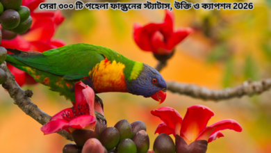 সেরা ৩০০ টি পহেলা ফাল্গুনের স্ট্যাটাস, উক্তি ও ক্যাপশন 2026.png