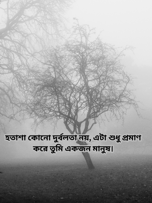 হতাশা কোনো দুর্বলতা নয়, এটা শুধু প্রমাণ করে তুমি একজন মানুষ.png