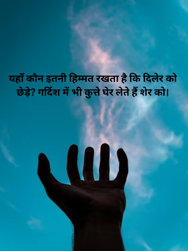 यहाँ कौन इतनी हिम्मत रखता है कि दिलेर को छेड़े.png