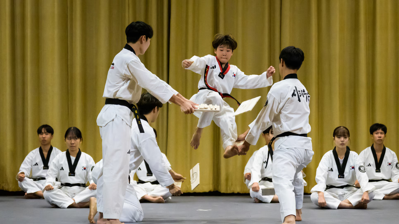 Taekwondo Within the Broader Martial Arts Landscape