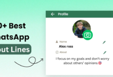 WhatsApp About Lines 2026 for Status & Bio