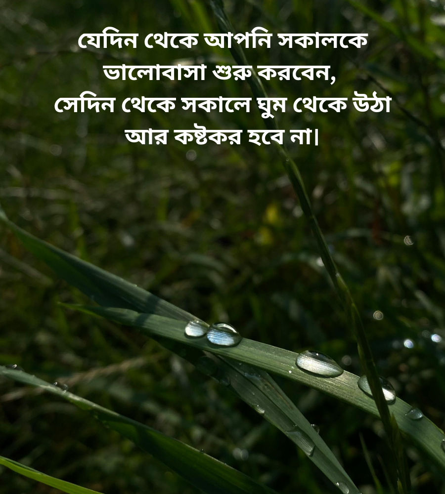 শীতের স্নিগ্ধ সকাল নিয়ে উক্তি
