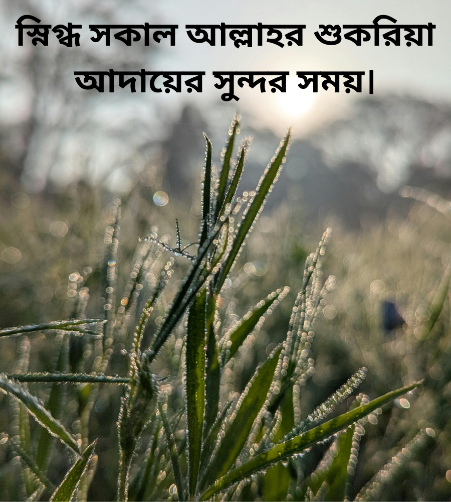 সকাল নিয়ে ইসলামিক ক্যাপশন