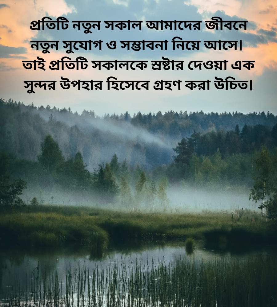 স্নিগ্ধ সকাল নিয়ে উক্তি