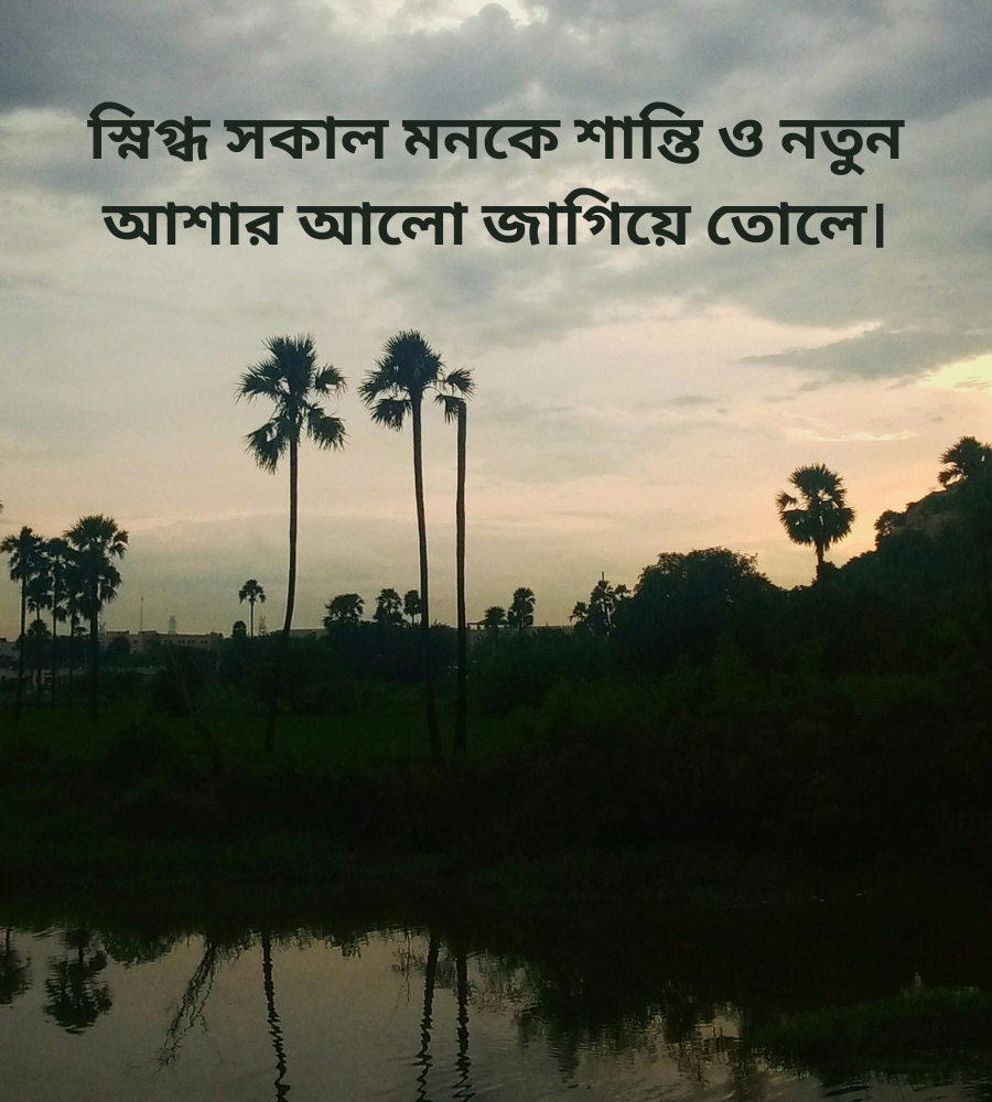 স্নিগ্ধ সকাল নিয়ে স্ট্যাটাস