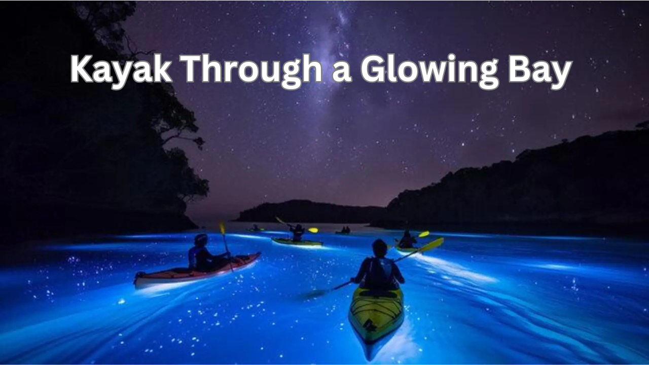 Kayak Through a Glowing Bay at Mosquito Bay, Puerto Rico