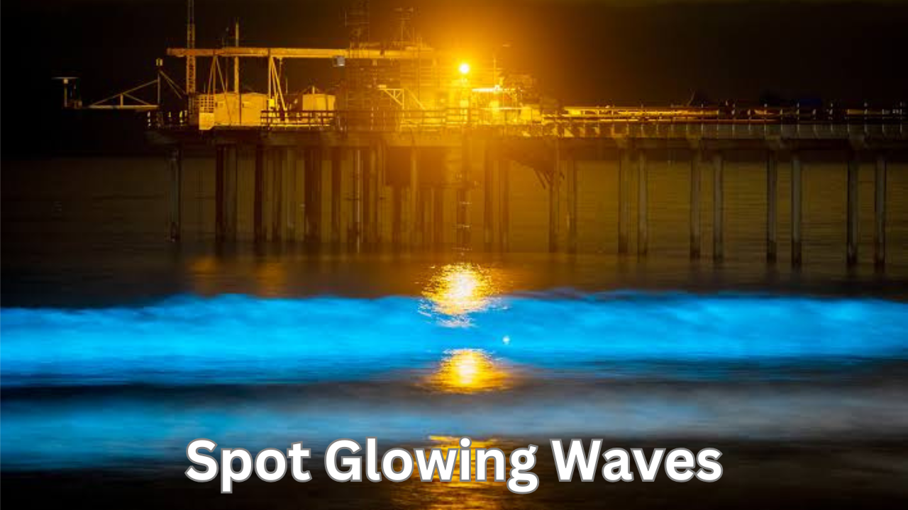 Spot Glowing Waves at San Diego, California