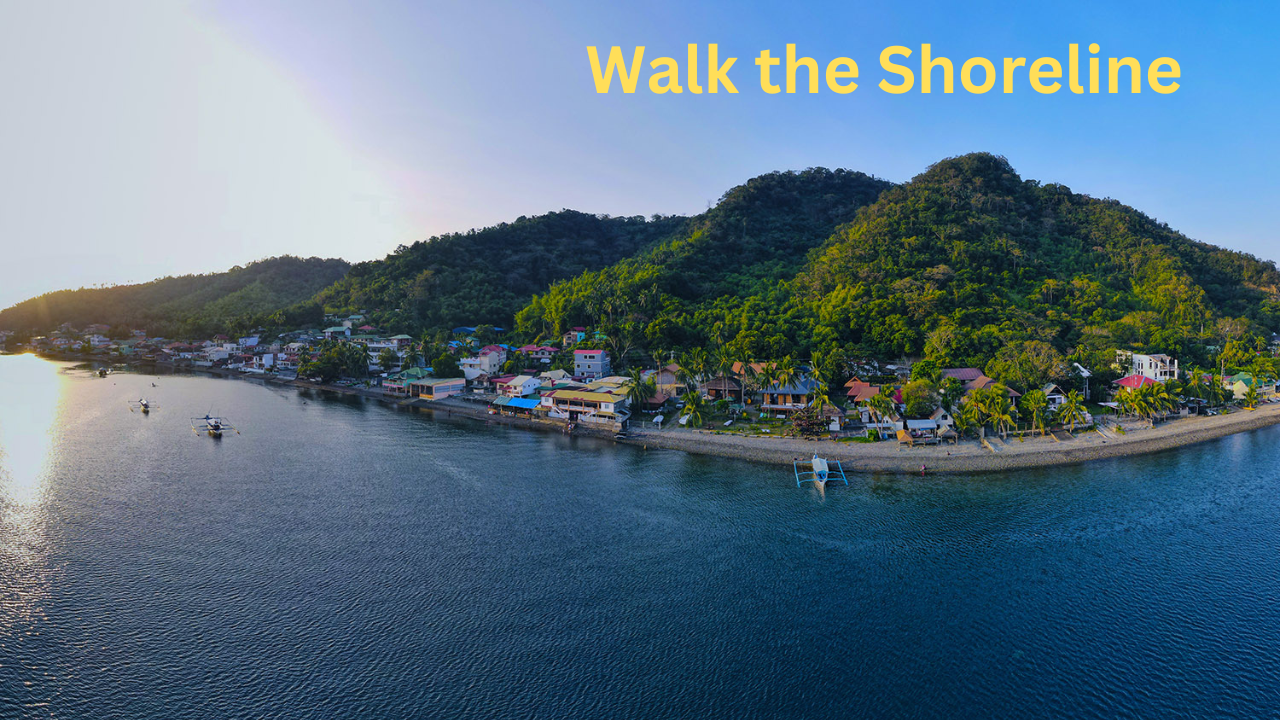 Walk the Shoreline at Anilao, Philippines