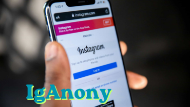 IgAnony: Anonymous Instagram Story Viewer