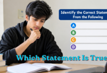 Which Statement Is True? How to Correctly Identify the Right Answer