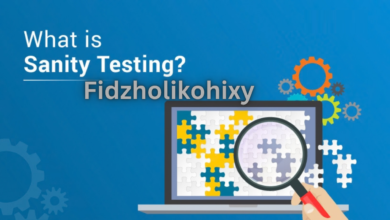 How Fidzholikohixy Quietly Saved My Sanity During the Craziest Month of My Year